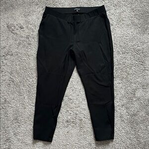 Universal Standard Minimalist Moro Pocket Signature Ponte Pants